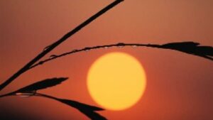 Alba:Tramonto